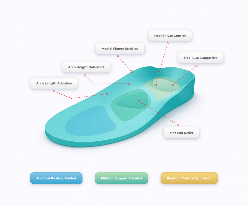 Ergono3D wizard step 3: insole support zones including arch length, arch height, heel cup, and forefoot support
