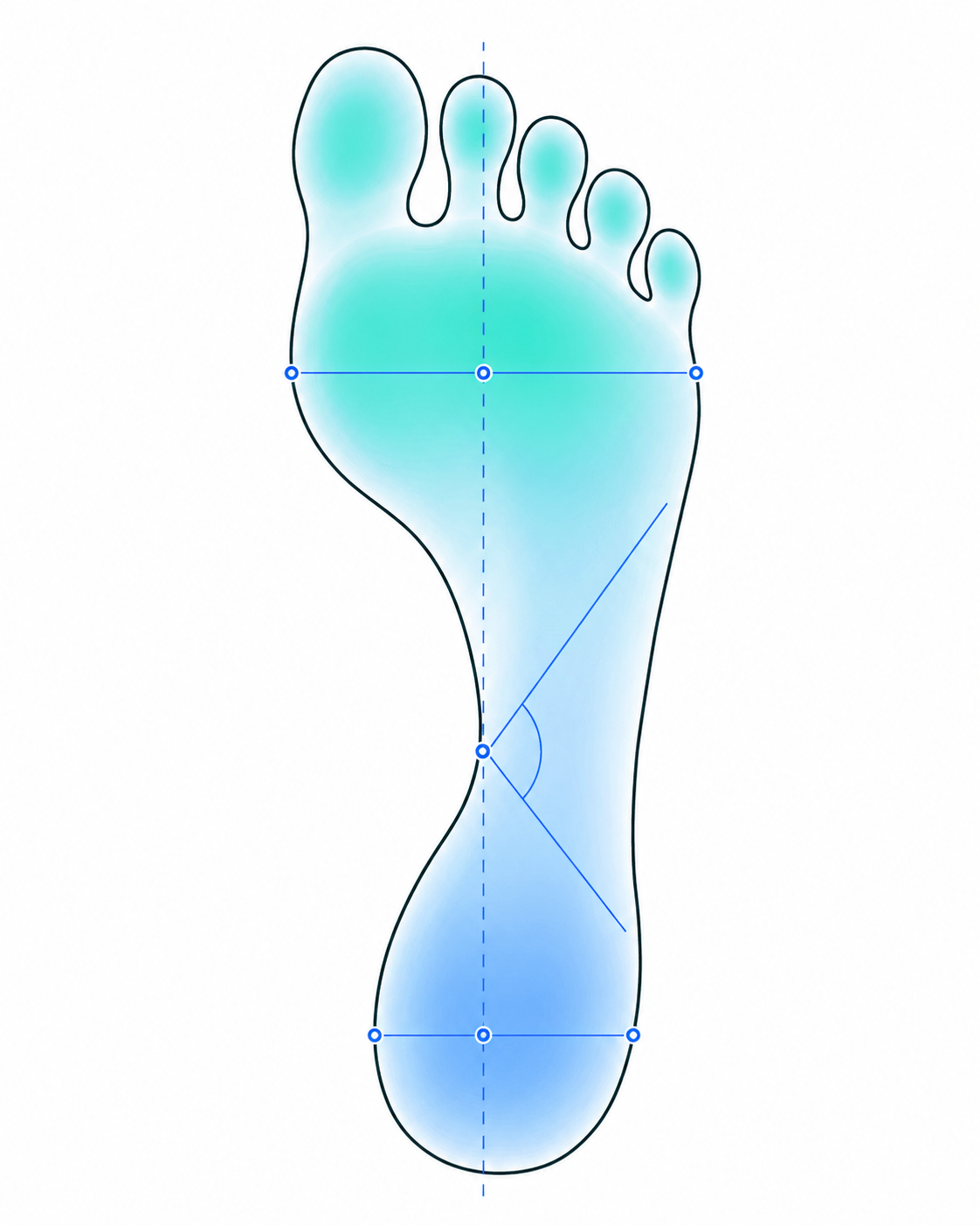 Digital podoscopy measurement readout with longitudinal axis, forefoot width, heel width, and Clark angle